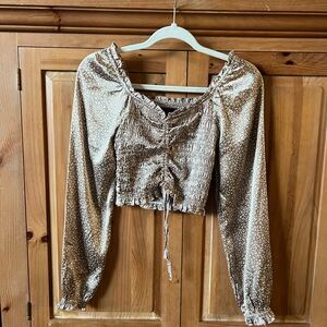 Japna Shimmering Tan Ruched Blouse